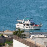 South Africans safe after Gaza aid flotilla detention, says Dirco