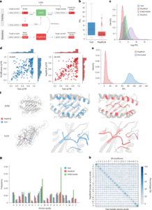 Target sequence-conditioned design of peptide binders using masked language modeling