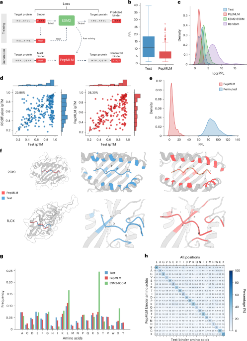 Target sequence-conditioned design of peptide binders using masked language modeling