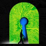 Is the World Adopting Post-Quantum Cryptography Fast Enough?