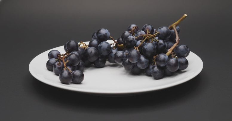 “Sweet and Very Delicious” – Japanese Scientists Create New Variety of Grape