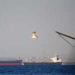 Undersea cables cut in Red Sea, disrupting internet access in Asia, West Asia