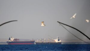 Undersea cables cut in Red Sea, disrupting internet access in Asia, West Asia