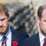 Prince Harry urged to ditch ‘Califronia-speak’ to become like Prince William