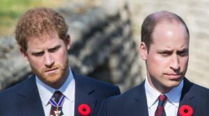 Prince Harry urged to ditch ‘Califronia-speak’ to become like Prince William