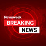 US Citizen Seriously Injured in Dresden Stabbing, Suspect At Large: Report