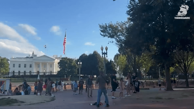Detained for burning the american flag
