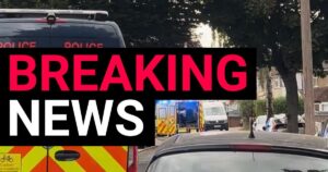 Ice cream man stabbed to death on his route in London