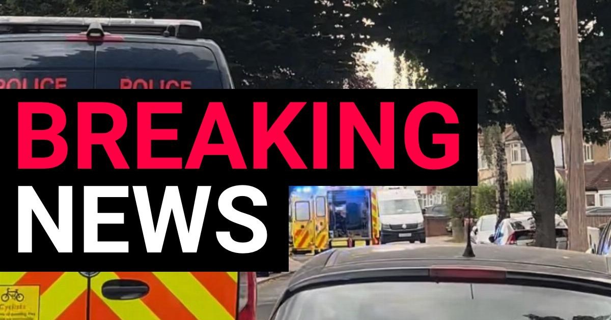 Ice cream man stabbed to death on his route in London