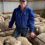 ‘Defeated’ Victorian farmers look for answers as livestock losses mount