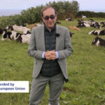 EU solidarity in the Azores: Miracle or mirage? (part 2)