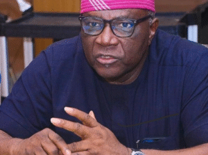 2027: Even with Onanuga as INEC chairman, we will beat you silly – ADC youths tells Tinubu