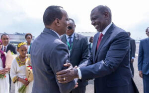 ‘Hustler’ cruises into Addis Ababa in style aboard lavish Sh1.4b jet