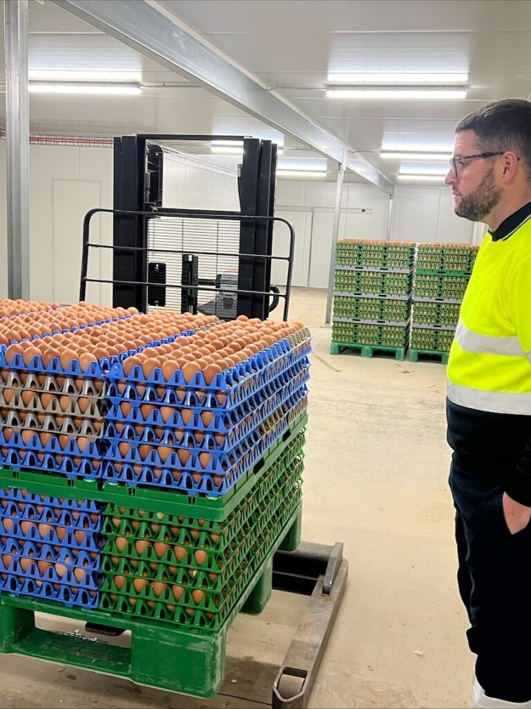 Millions being spent as Australia prepares for deadly H5 strain of bird flu