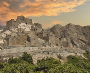 Saudi Arabia Builds Middle East’s Largest Coffee-Producing City in Al Baha