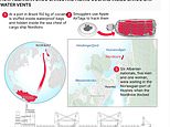 How Albanian gangsters use frogmen to hide cocaine on Europe-bound ships