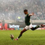 Springboks and Japan to play first rugby match at Wembley in nine years