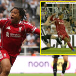 Alan Shearer slams ‘stupid’ Anthony Gordon after red card as Liverpool break Newcastle hearts in Premier League thriller
