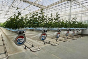 Saudi Greenhouse Training Ignites Smart Farming Revolution