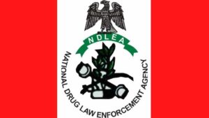 Drug Kingpin, 5 Others Arrested as NDLEA Moves to Clear Innocent Pilgrims Detained in Saudi Arabia
