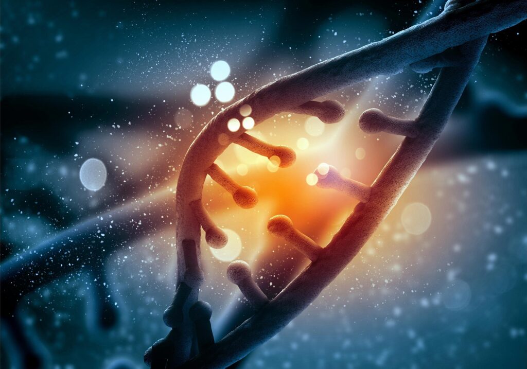 DNA From a Mysterious Extinct Hominin May Have Helped Ancient Americans Survive