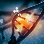 DNA From a Mysterious Extinct Hominin May Have Helped Ancient Americans Survive