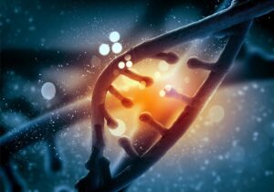 DNA From a Mysterious Extinct Hominin May Have Helped Ancient Americans Survive