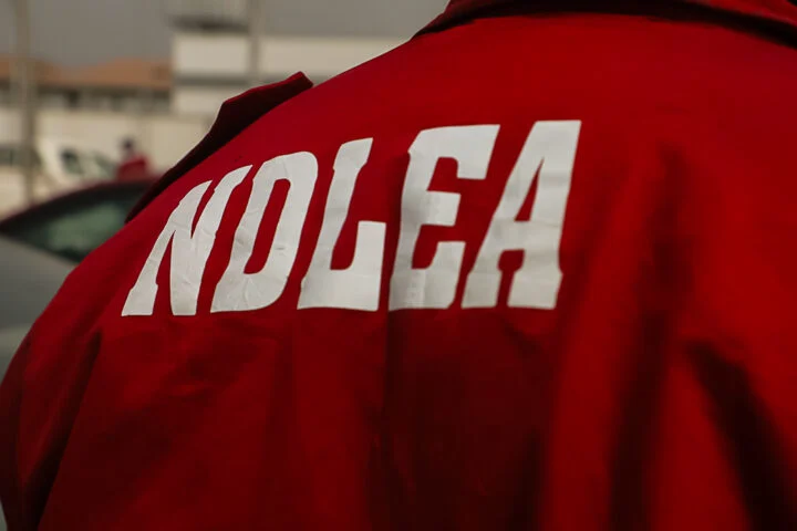 NDLEA arrests Kano drug kingpin after 3 Nigerians detained in Saudi Arabia over tagged bags