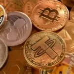 Digital rupee over crypto dollarisation?