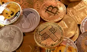 Digital rupee over crypto dollarisation?