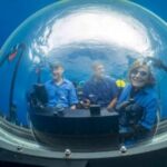 Dr. Sylvia Earle Among Attendees At IUCN World Congress