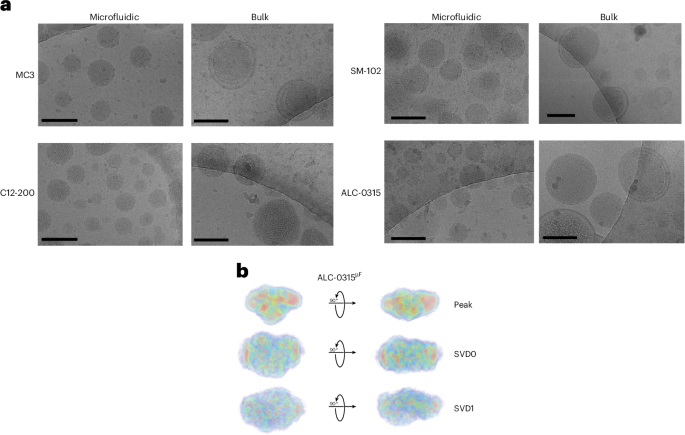 Solution biophysics reveals the polydisperse structure of RNA lipid nanoparticles