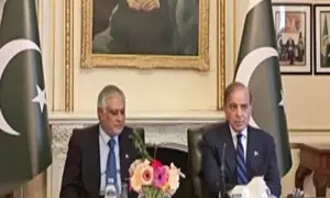 PM Shehbaz hopes for ‘encouraging’ results of Trump’s moot with Muslim leaders on Gaza to come soon
