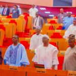 “Their sacrifice won’t be in vain” – Senate pays tribute to soldiers killed in Borno