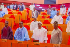“Their sacrifice won’t be in vain” – Senate pays tribute to soldiers killed in Borno