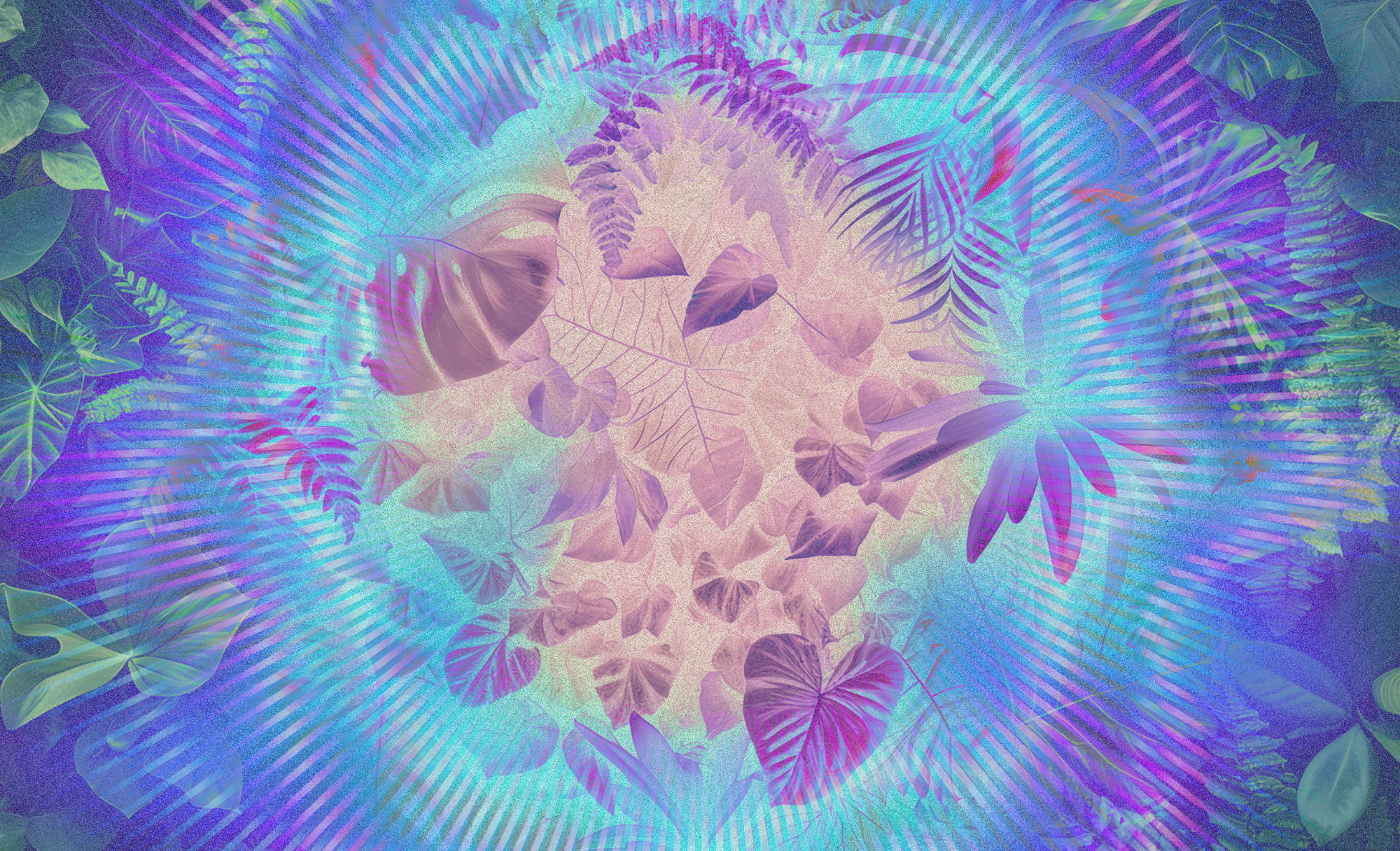 This obscure UN rule will help shape the future of carbon markets