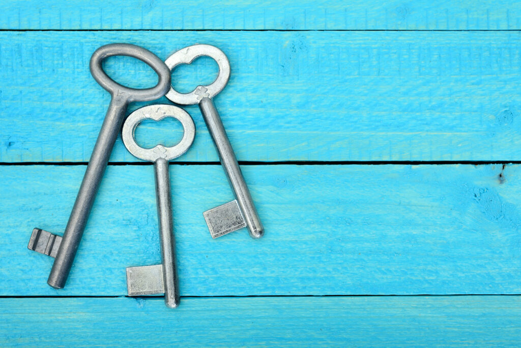 How CIOs can negotiate data, AI and politics while avoiding snake oil