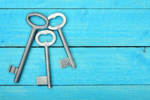 How CIOs can negotiate data, AI and politics while avoiding snake oil