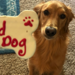 Morning Minute: Dogs Don’t Care About Your Politics