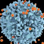 Harvard HIV scientist Xie Zhenfei joins China’s national virus lab in Wuhan