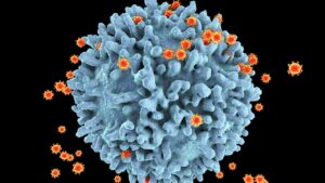 Harvard HIV scientist Xie Zhenfei joins China’s national virus lab in Wuhan