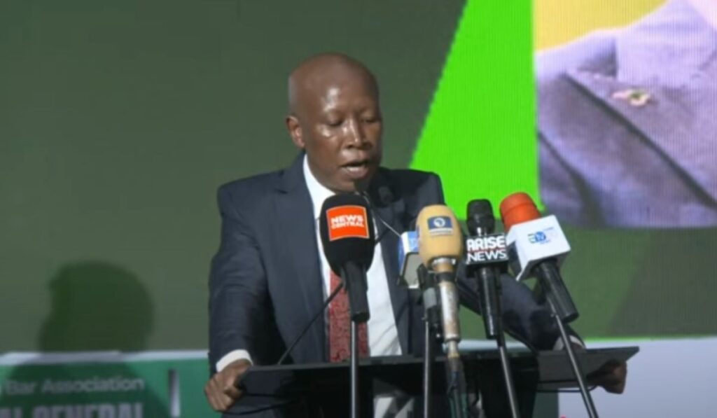 Loans from World Bank, IMF must be regulated, they’re death traps – Malema