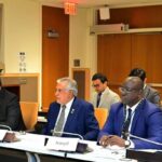 Pakistan presses for urgent Gaza ceasefire at OIC panel meeting