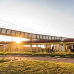 Outrage as Harmony mine death toll climbs to 12 this year