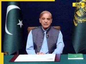 Shahbaz Sharif calls Kashmir issue crucial to India-Pakistan relations, likens region with Gaza because…