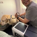 Animal Airways Launches Global Initiative to Ensure Accessible Air Travel for Guide Dog Users