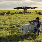 Regenerating the soil of America’s heartland