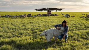 Regenerating the soil of America’s heartland