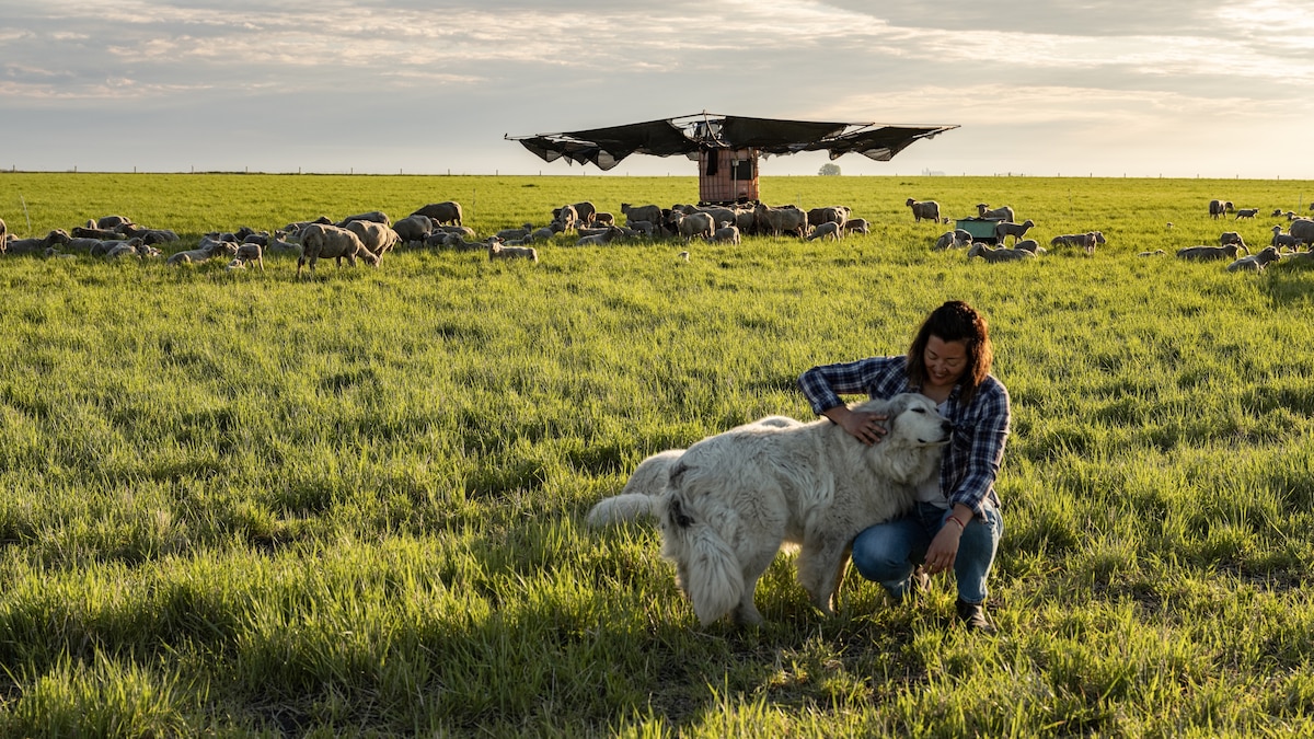 Regenerating the soil of America’s heartland