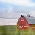 A quarter of America’s “farms” aren’t really farms